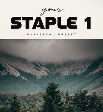 STAPLE 1 Preset Universal