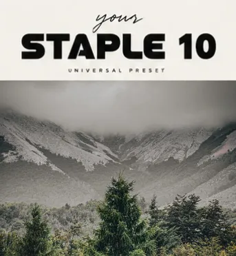 STAPLE 10 Preset Universal