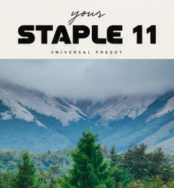 STAPLE 11 Preset Universal