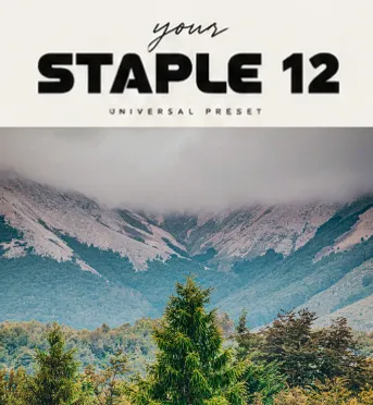 STAPLE 12 Preset Universal