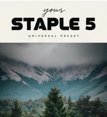 STAPLE 5 Preset Universal